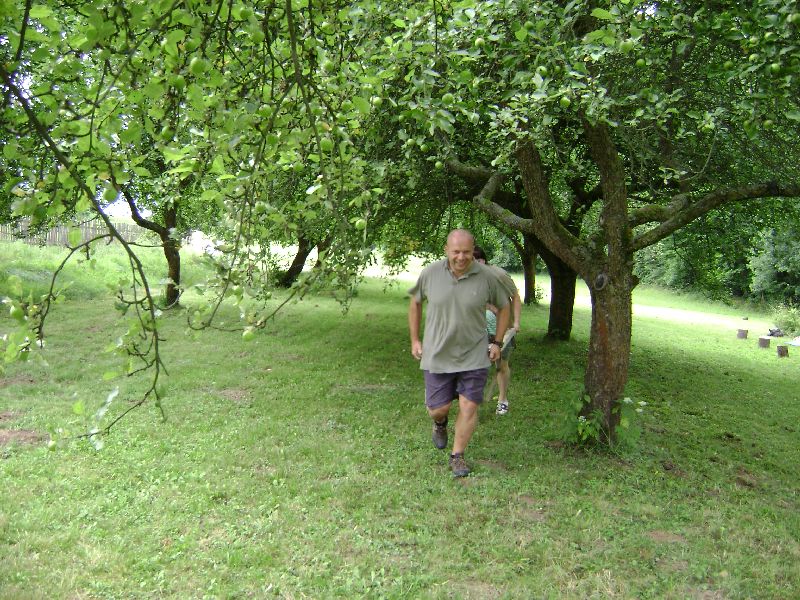 DSC00185